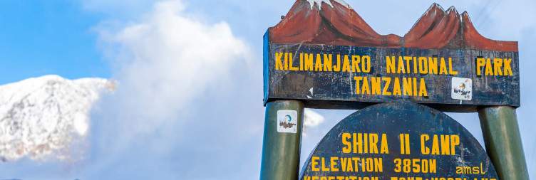 Shira Camp 1 (3500m) – Shira Camp 2 (3840m)