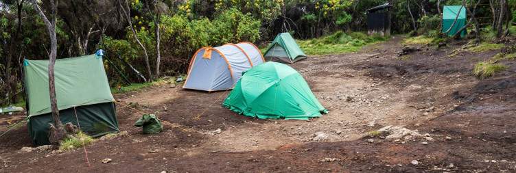 Arusha – Lemosho Gate (2360m) – Mti Mkubwa Camp (2700m)