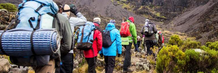 Mawenzi Tarn Camp to Kibo Hut