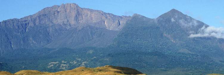 Arusha (1400m) – Miriakamba Hut (2500m)
