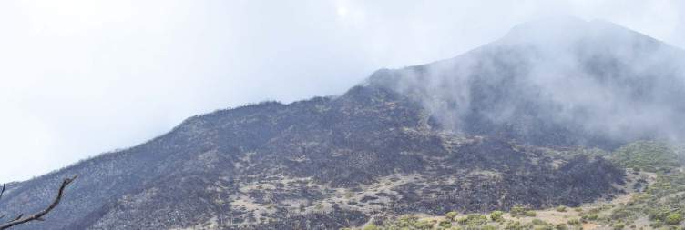 Saddle Hut to Socialist Peak to Momella Gate