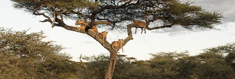 Ndutu National Park