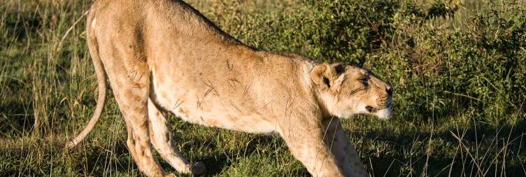 Ngorongoro Crater to Arusha