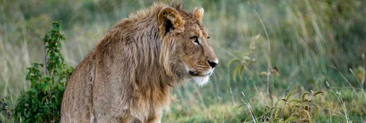 Ngorongoro Crater to Arusha