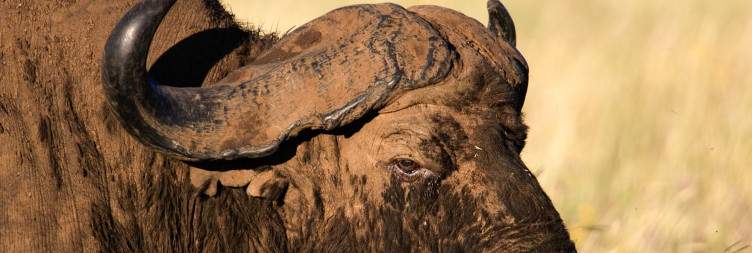 Ngorongoro Crater to Arusha