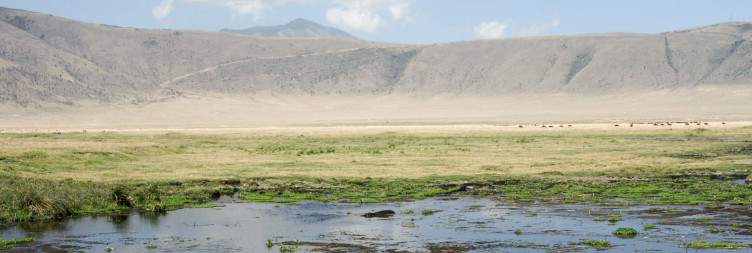 Serengeti to Ngorongoro Crater