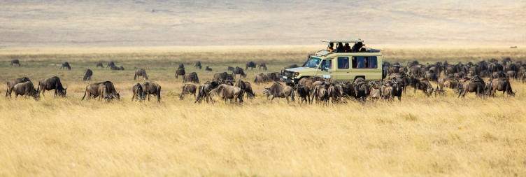 Ngorongoro crater