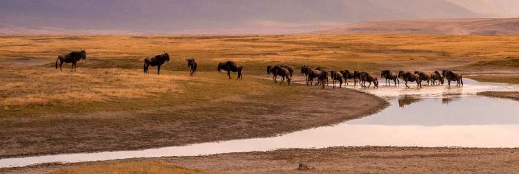 Game drive in Ngorongoro, night in Karatu