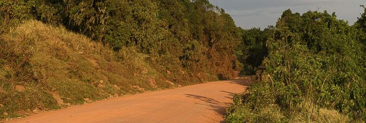 Serengeti National Park - Ngorongoro Highlands