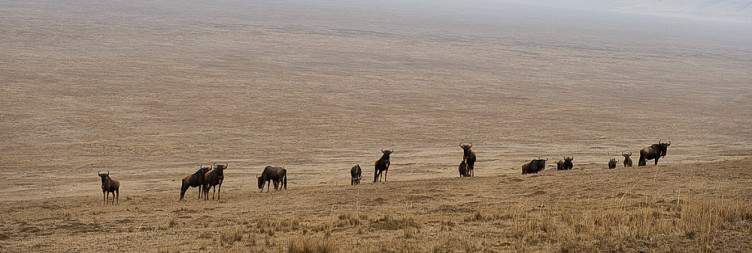 Travel the Mystical Ngorongoro Highlands