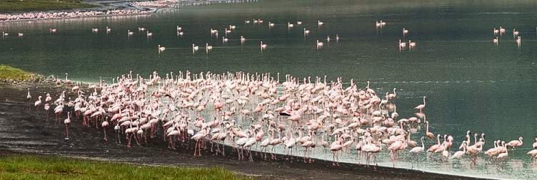 Serengeti National Park to the Ngorongoro Conservation Area