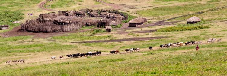Serengeti to Ngorongoro Highlands - Journey Through Stunning Landscapes