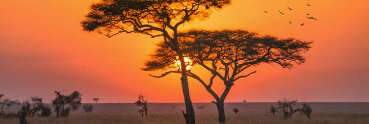 Northern Serengeti National Park