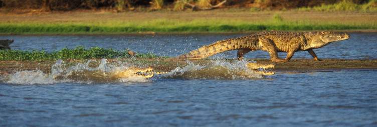 Dar es Salaam to Nyerere National Park and Boating Safari