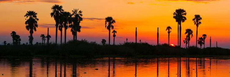 Full-day Guided Game Drive at Nyerere National Park