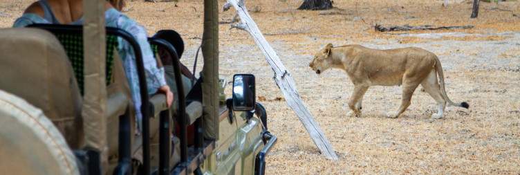 Full Day in Nyerere National Park