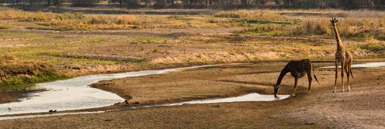 Ruaha National Park