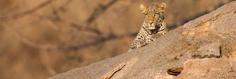 Drive From Mikumi to Ruaha Hilltop Lodge