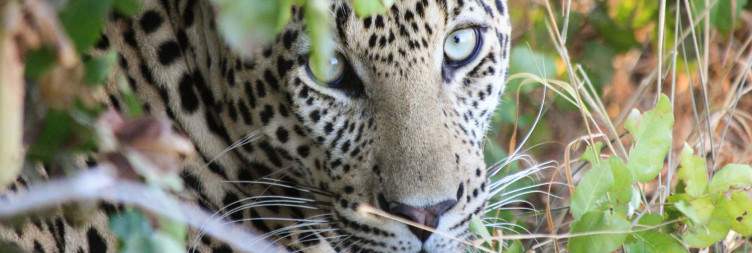Bagamoyo to Saadani National Park by Jeep