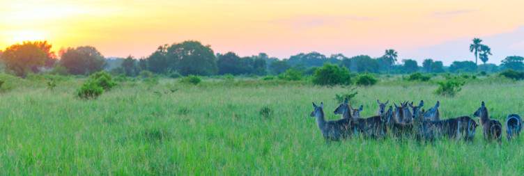 From Dar es Salaam to Saadani National Park