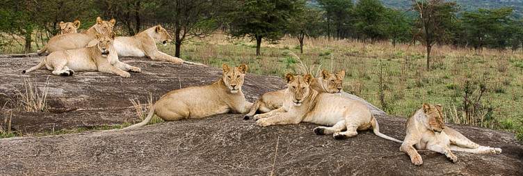 Karatu to Serengeti National Park