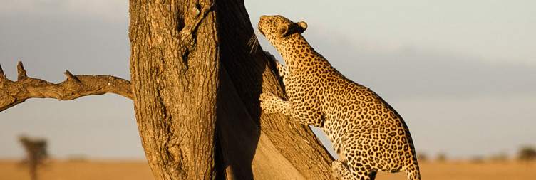 Serengeti National Park