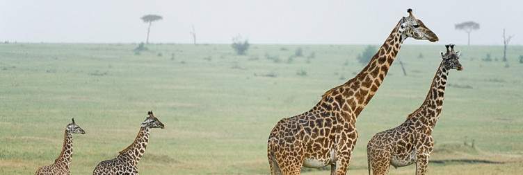 Serengeti National Park