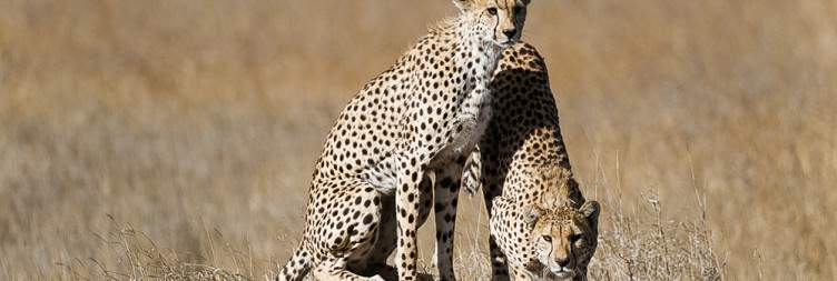 Serengeti National Park