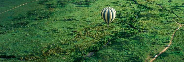 Deeper into the Heart of the Serengeti
