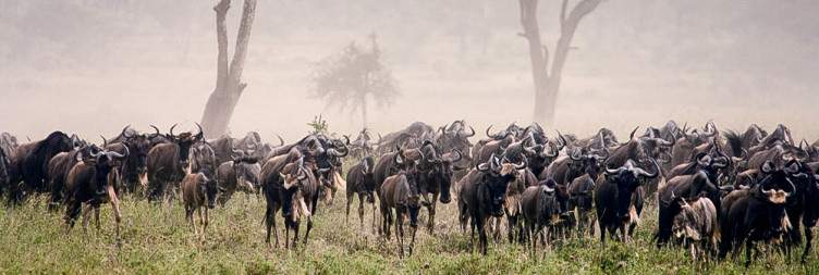 Serengeti National Park