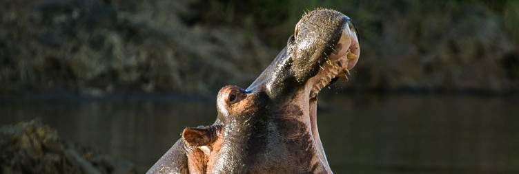 Serengeti National Park