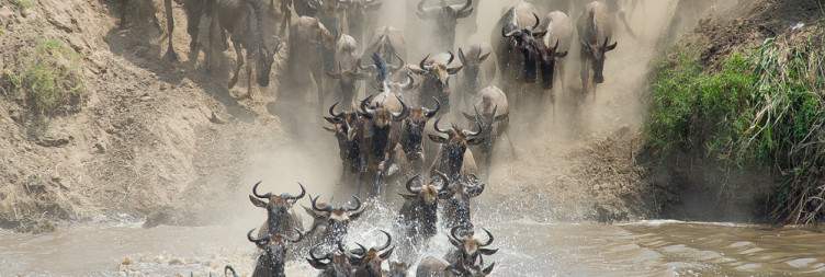 Serengeti National Park
