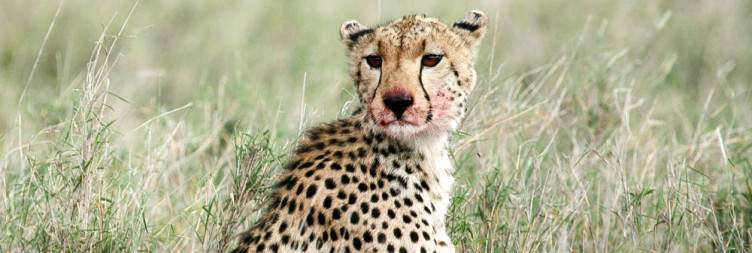 Serengeti National Park
