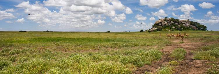 Arusha – Serengeti National Park