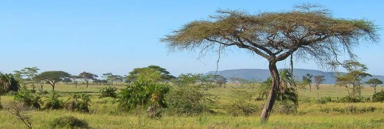Manyara to Serengeti National Park