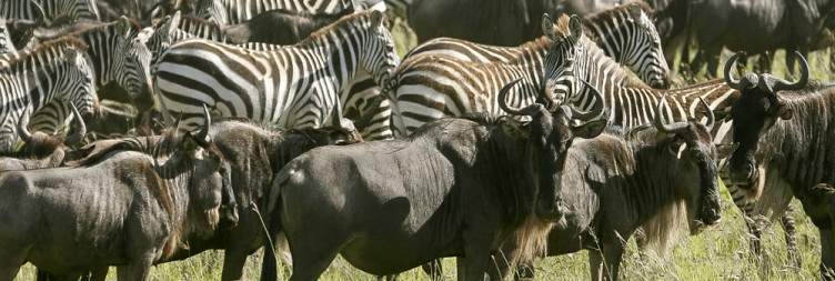 Serengeti National Park