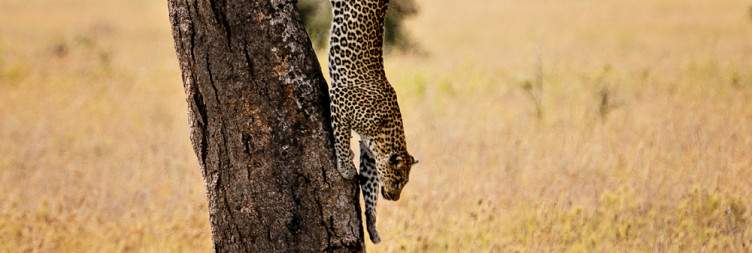 Karatu to Serengeti National Park