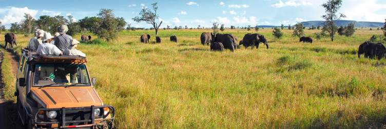 Safari in the Serengeti National Park