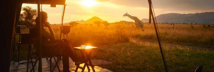 The Majesty of the Serengeti