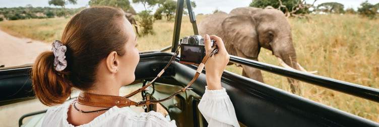 Full Day in Serengeti National Park