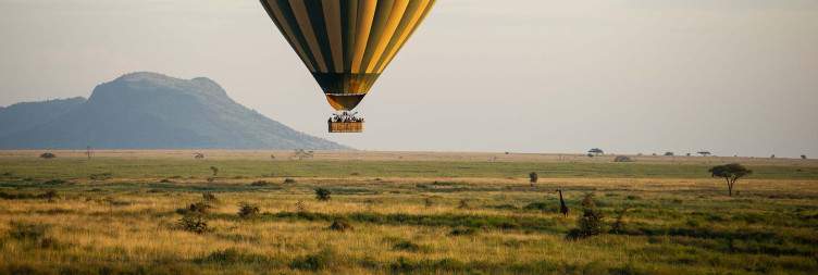 Full-day Game Drive in Serengeti National Park