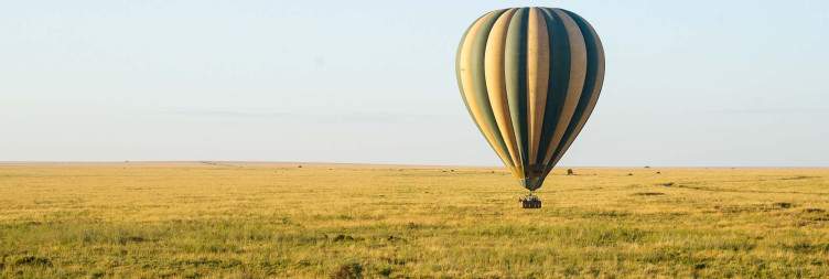 Sunrise Game Drive - Fly Out