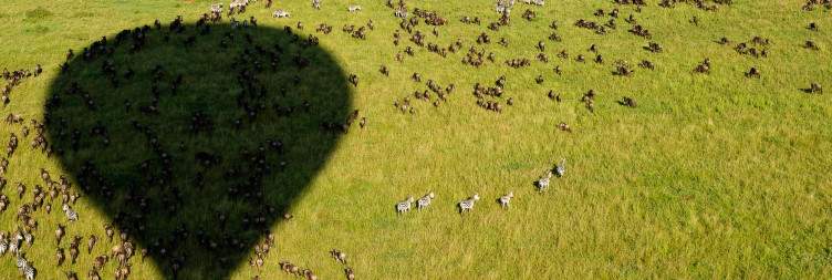 Majestic Seronera valley at Central Serengeti National Park
