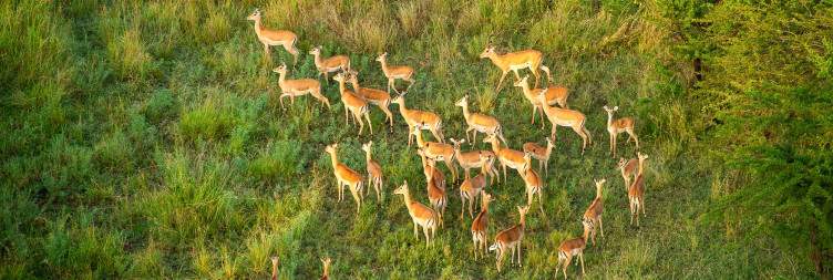 Arusha to Serengeti National Park