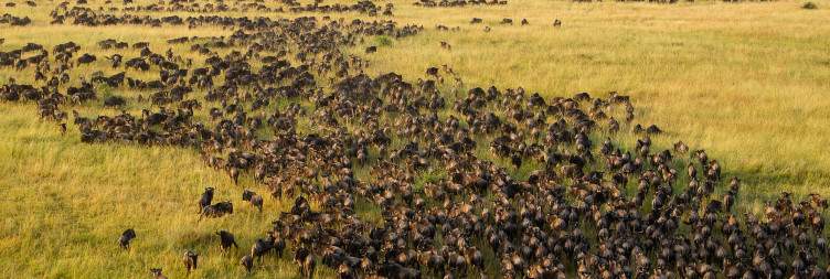 Serengeti National Park