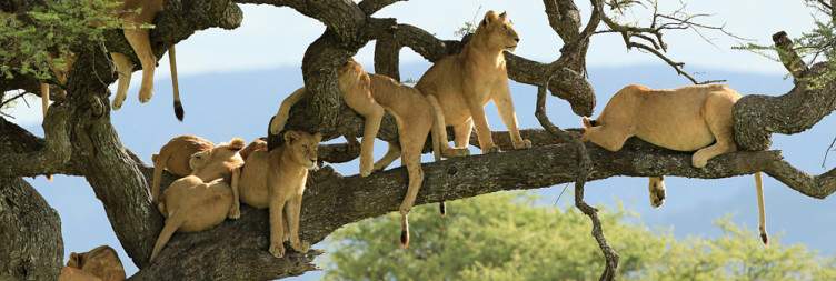Serengeti National Park