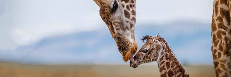 Serengeti National Park