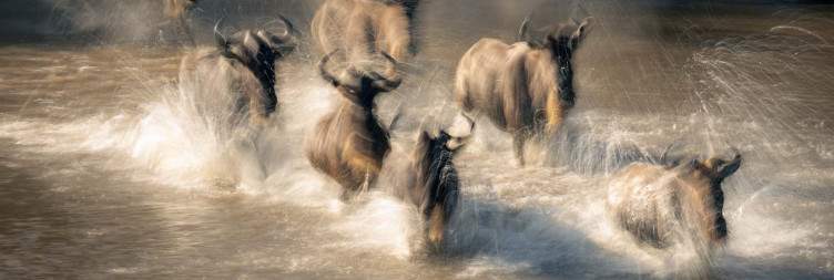 Karatu – Serengeti National Park (Journey to Endless Plains)
