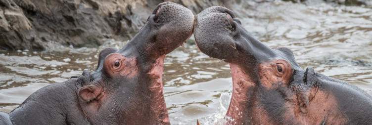 Karatu – Serengeti National Park