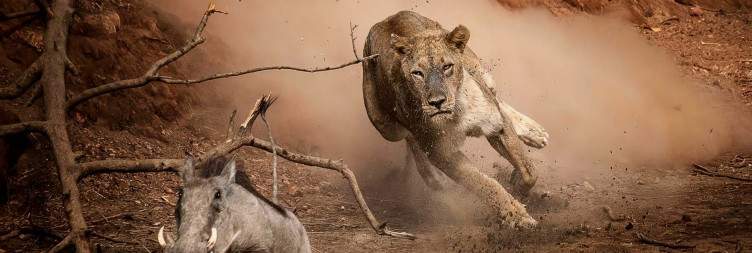 Arusha - Serengeti National Park
